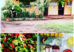 MUNICIPALIDAD CUMPLE CON PROVISIÓN DE ALMUERZO ESCOLAR EN EL DISTRITO.