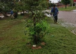 ASEO URBANO SOBRE AVDA. HERMINIO MEDOZA.