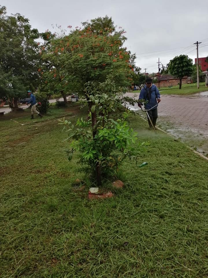 ASEO URBANO SOBRE AVDA. HERMINIO MEDOZA.