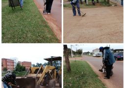 SALUBRIDAD EN TAREAS DE ASEO URBANO, LIMPIEZA CON DESMALEZADORA, RECOLECCIÓN Y DISPOSICIÓN FINAL DE RESIDUOS.