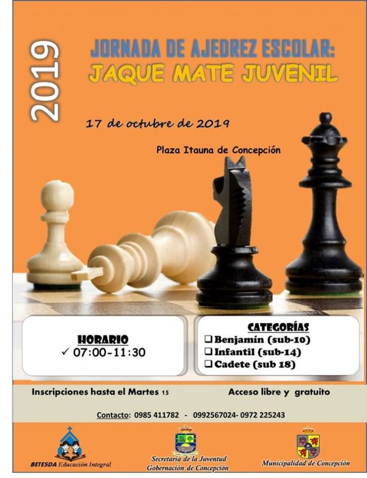 ACTIVIDADES DE CARÁCTER EDUCATIVO Y CULTURAL QUE APOYA LA MUNICIPALIDAD DE CONCEPCIÓN.