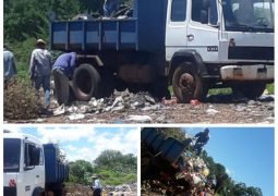 MUNICIPALIDAD LUCHA A FAVOR DE LA VIDA Y DEL MEDIO AMBIENTE.