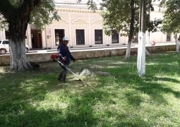 MUNICIPALIDAD REFUERZA LIMPIEZA EN LOS ESPACIOS PÚBLICOS.