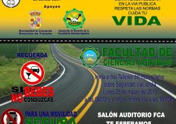 TALLER DEL MISMO TENOR SOBRE LA EDUCACIÓN VIAL