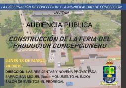 LA GOBERNACIÓN DE CONCEPCIÓN Y LA MUNICIPALIDAD DE CONCEPCIÓN INVITAN: